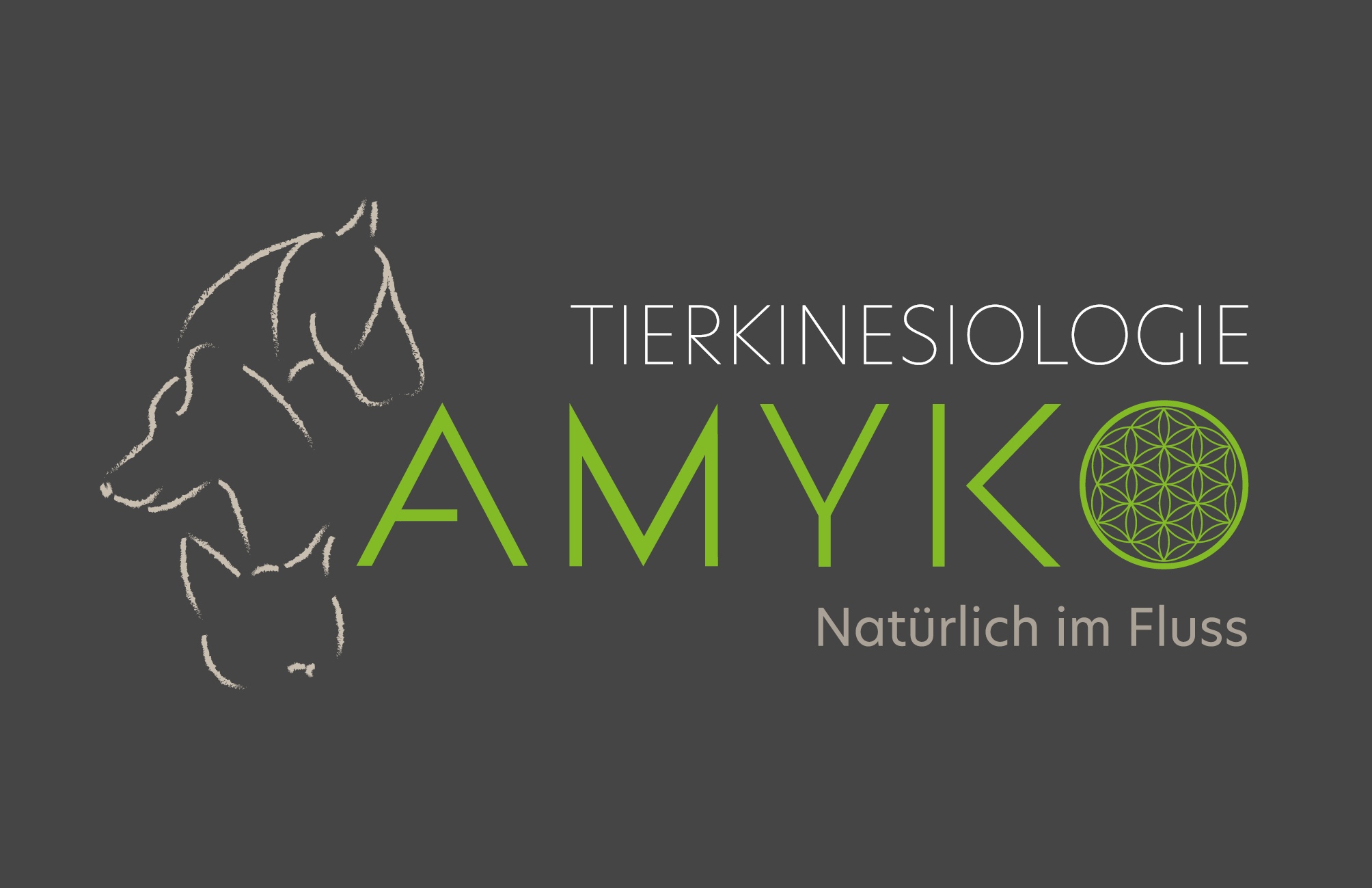 Tierkinesiologie Amyko